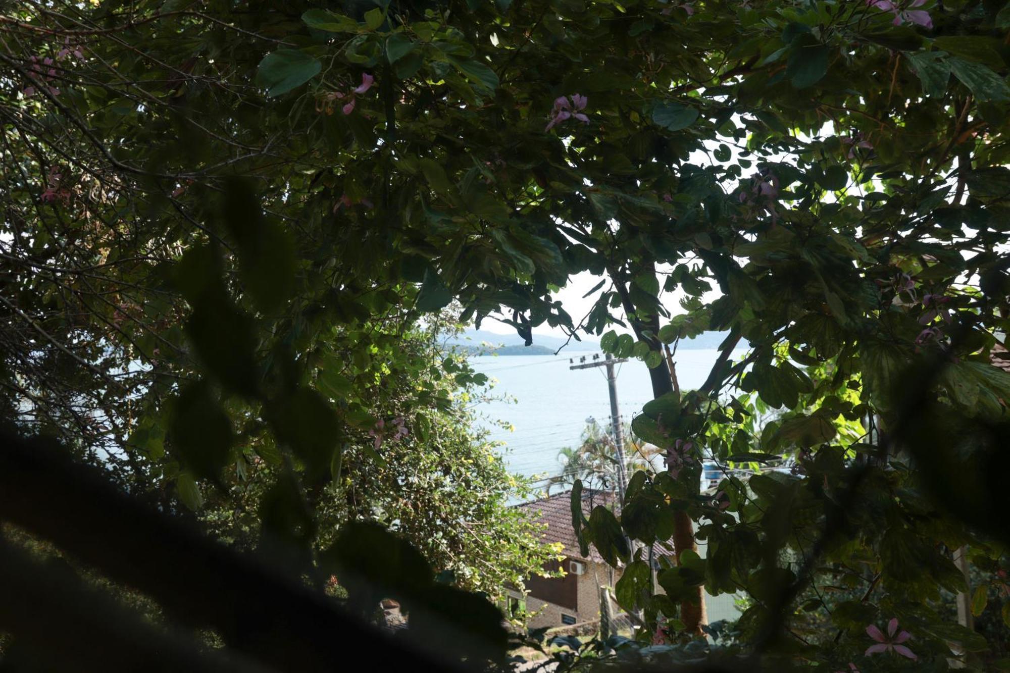 Vista Para O Mar Junto A Natureza Av3740 Florianópolis Exterior foto